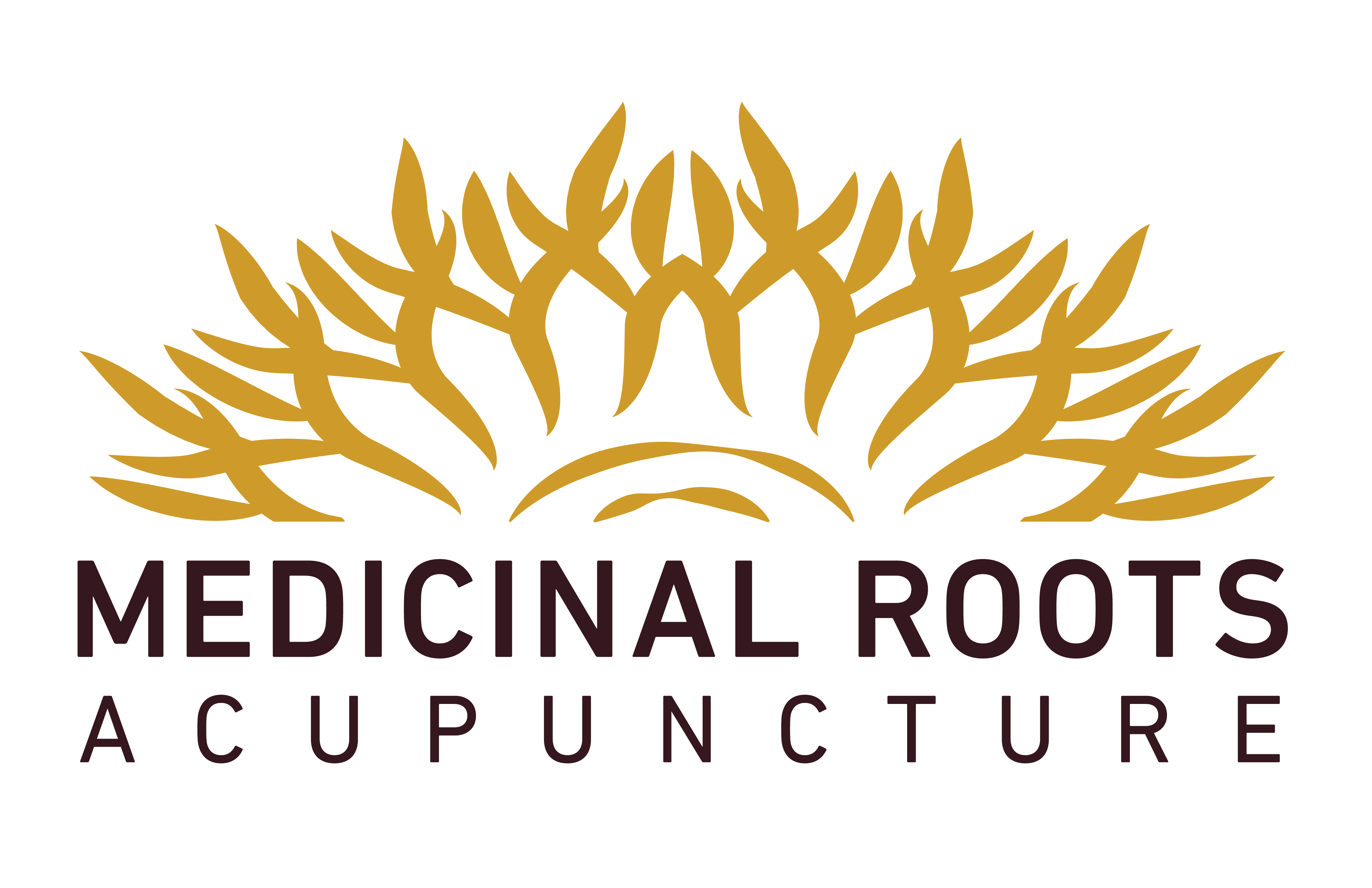Medicinal Roots Acupuncture Try Acupuncture