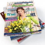 Spring 2016 cover