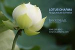 LOTUS DHARMA Acupuncture & Herbs